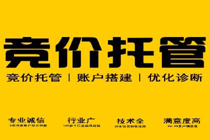 SEM账户管理技巧与案例分析